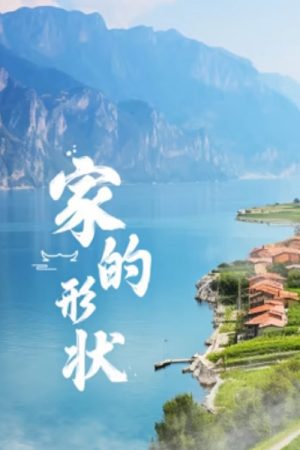 家的形状 (2020) poster