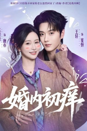婚内初痒 (2026) poster