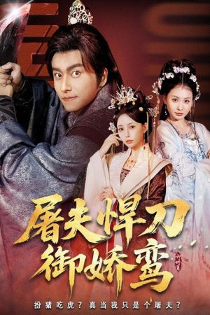 屠夫悍刀御娇鸾 (2026) poster