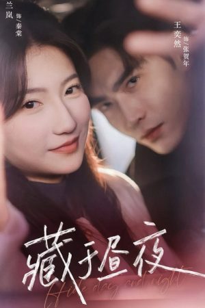 藏于昼夜 (2025) poster