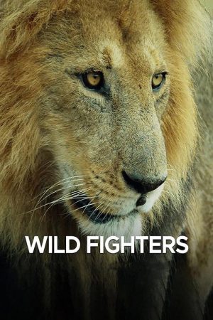 Wild Fighters (2021) poster
