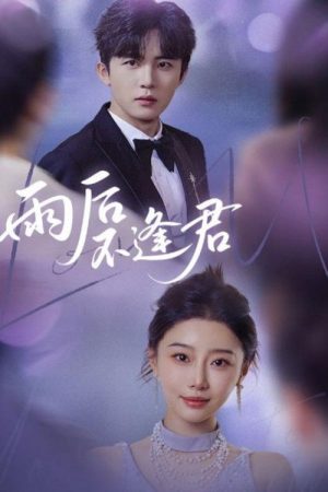 雨后不逢君 (2025) poster