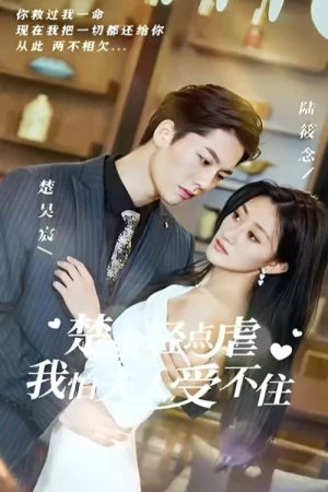 楚少轻点虐我怕夫人受不住 (2023) poster
