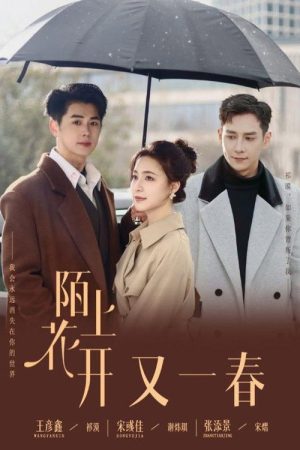 陌上花开又一春 (2025) poster