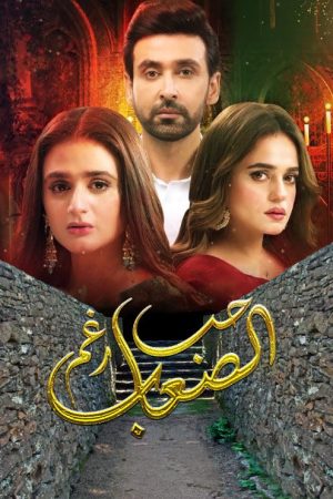 mein hari piya (2021) poster