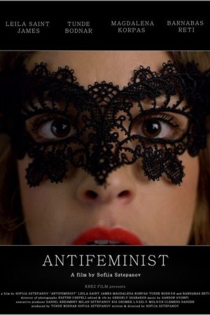 Antifeminist (2019) poster