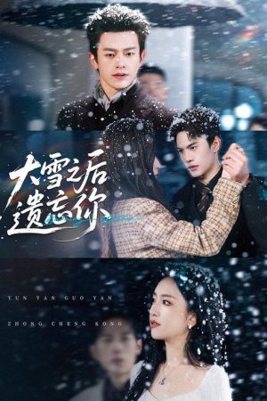 大雪之后遗忘你 (2026) poster