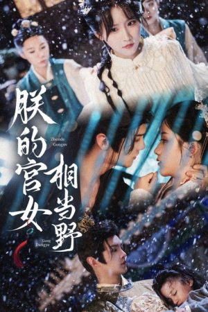 朕的宫女相当野 (2025) poster
