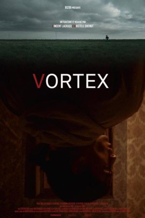 Vortex (2019) poster