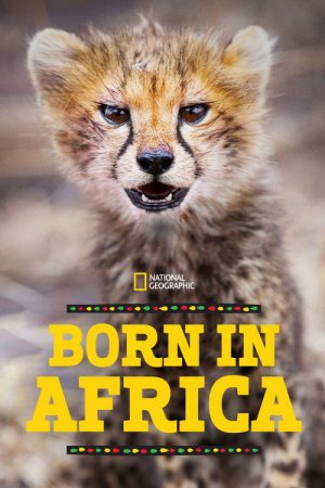Born in Africa (2018) poster