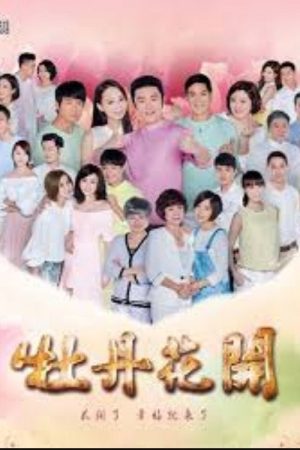 牡丹花开 (2017) poster