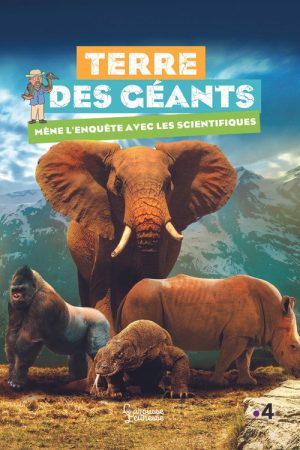 Mysteries of The Giants (2019) poster