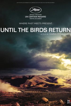 Until The Birds Return (2017) poster