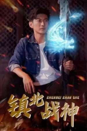 镇北战神 (2023) poster