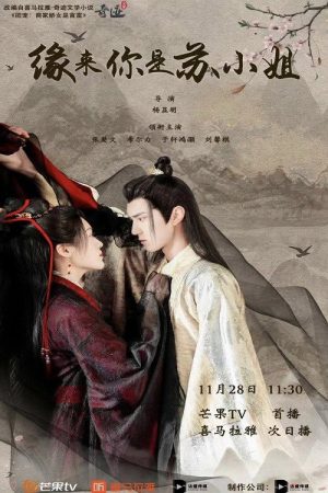 缘来你是苏小姐 (2022) poster