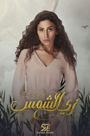 Like the Sun (2019) poster