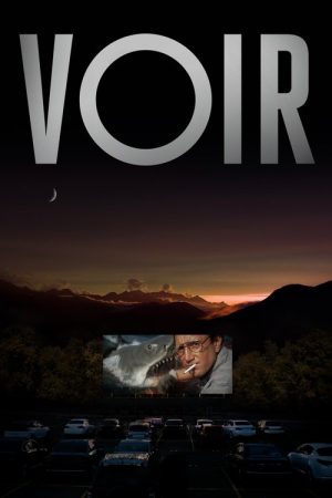 Voir (2021) poster