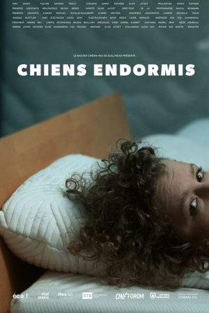 Chiens endormis (2020) poster