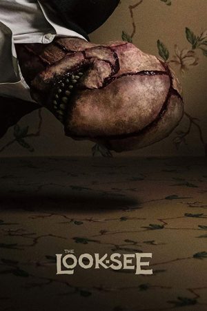 The Look-See (2017) poster
