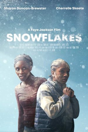 Snowflakes (2019) poster