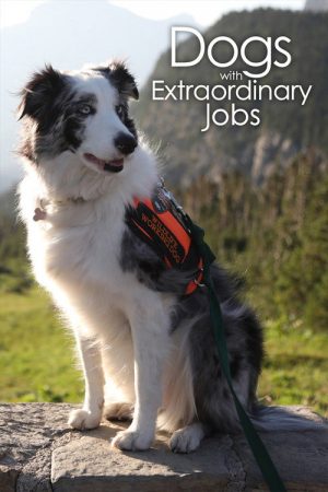 Dogs with Extraordinary Jobs (2019) poster