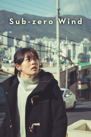 Sub-zero Wind (2019) poster
