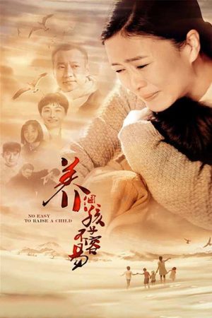 养个孩子不容易 (2016) poster