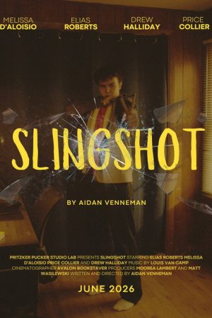Slingshot (2026) poster