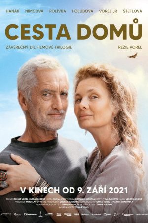 Way Home (2021) poster