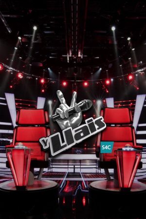 The Voice (2025) poster
