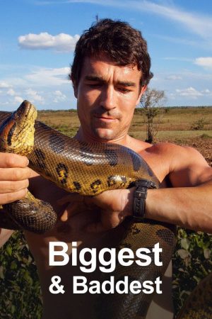 Biggest and Baddest (2020) poster