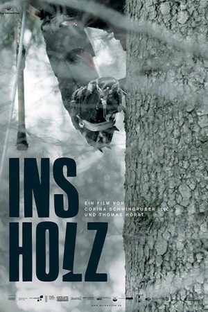 In the Woods (2017) poster