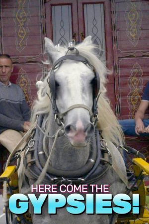 Here Come The Gypsies! (2021) poster