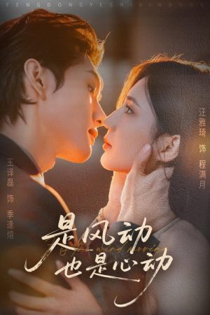 是风动也是心动 (2025) poster