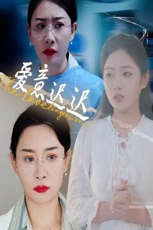 爱意迟迟 (2025) poster