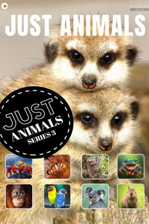 Just Animals (2018) poster