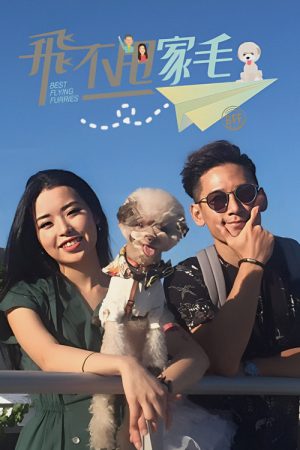 Best Flying Furries BFF (2017) poster