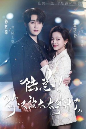 陆总，你又被太太算计了 (2026) poster
