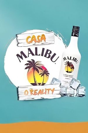 Casa Malibu (2021) poster