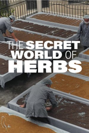 The Secret World of Herbs (2016) poster