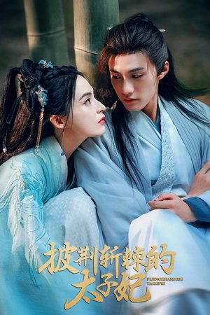 My Brave Crown Princess (2025) poster