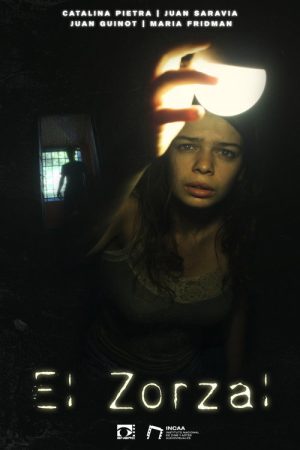 El zorzal (2025) poster