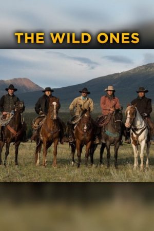 The Wild Ones (2020) poster