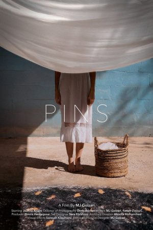 Pin (2025) poster