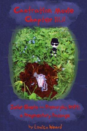 Castration Movie Chapter iii.ii Junior Ghosts—Premorphic Drift; a fragmentary passage (2026) poster