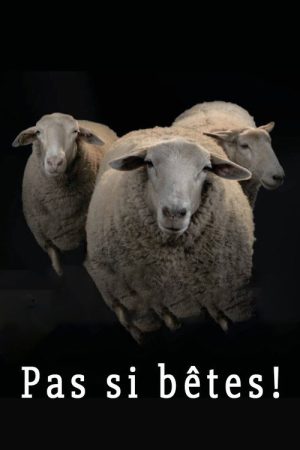 Pas si bêtes! (2020) poster