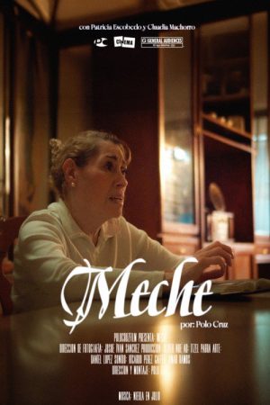 Meche (2026) poster