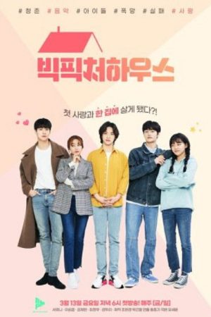 Big Picture House (2020) poster