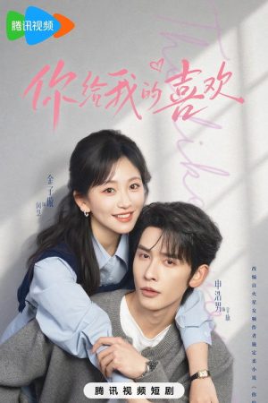 你给我的喜欢 (2026) poster