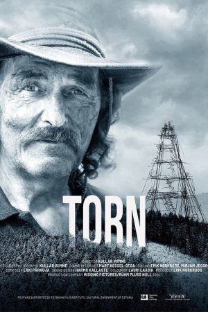 Torn (2025) poster